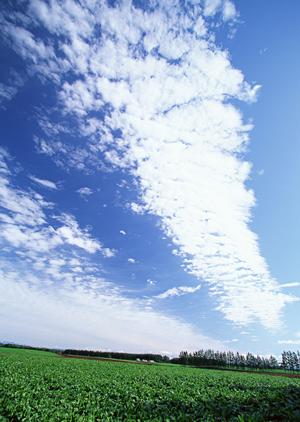 静岡県富士宮市の家族葬専門斎場「家族葬のタクセル光町」｜安心・低価格で心温まるお別れの時間を提供