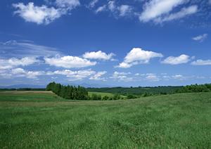 菊川市で安心して任せられる葬儀場：富士葬祭 菊川の特徴とサービス内容