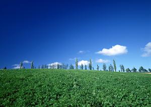 静岡市で信頼できる葬儀場を選ぶなら【富士葬祭 静岡】?安心の家族葬・一般葬対応施設案内