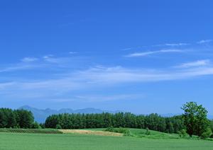 葬儀に関連する情報を紹介していきます