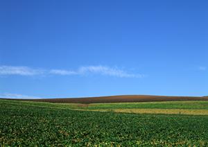 永代供養がある安心できる京都市の墓苑