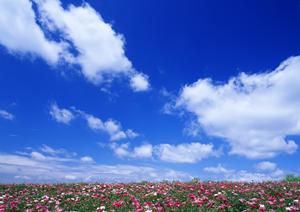 静岡市葵区の家族葬専用斎場【家族葬のタクセル長沼】-安心の低価格と充実のサポート体制