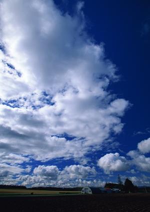 年間２５００件の実績がある徳島の葬儀社