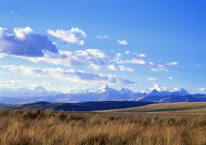 静岡市で信頼の葬儀サービスを提供する富士葬祭 清水有東坂の詳細ガイド