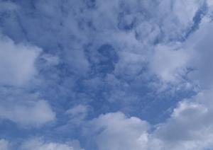 多彩な葬儀プランがある業者なら