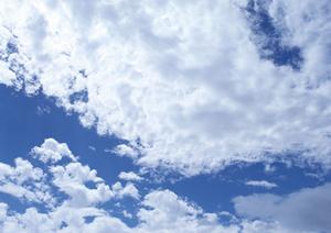 ペット供養を行っている墓苑です