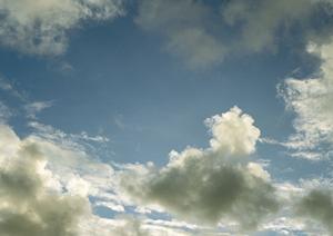 樹木葬には墓石よりもメリットが多い