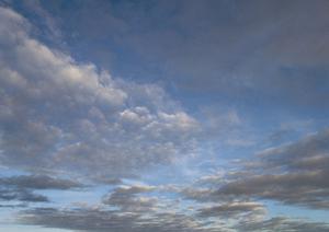 大阪の歴史ある納骨堂はとても人気