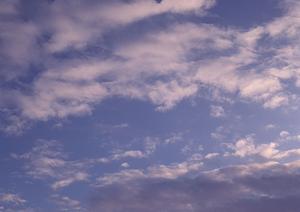 仏壇の通販は仙台の中居堂におまかせを