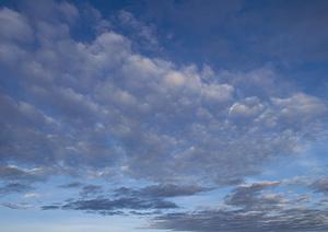 贈り物や返礼品を探す方法について