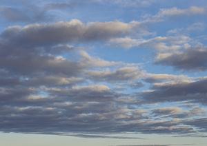 宮城県の寺で樹木葬の希望をかなえる