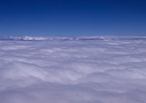 ペット専用霊園で葬儀をすることが出来る